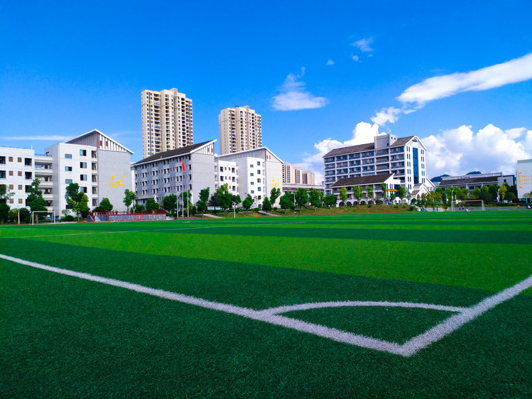 四川省内三加二學(xué)校(四川省内二本調檔線)